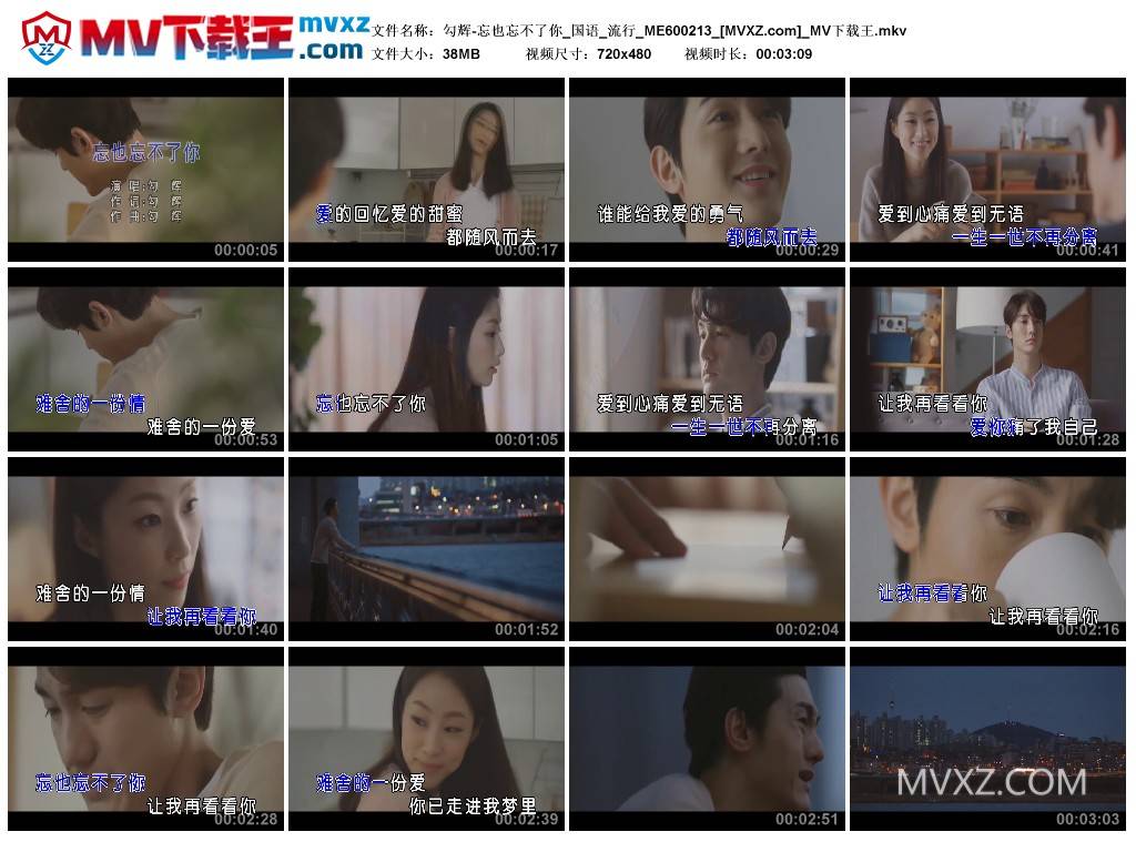 勾辉-忘也忘不了你_国语_流行_ME600213